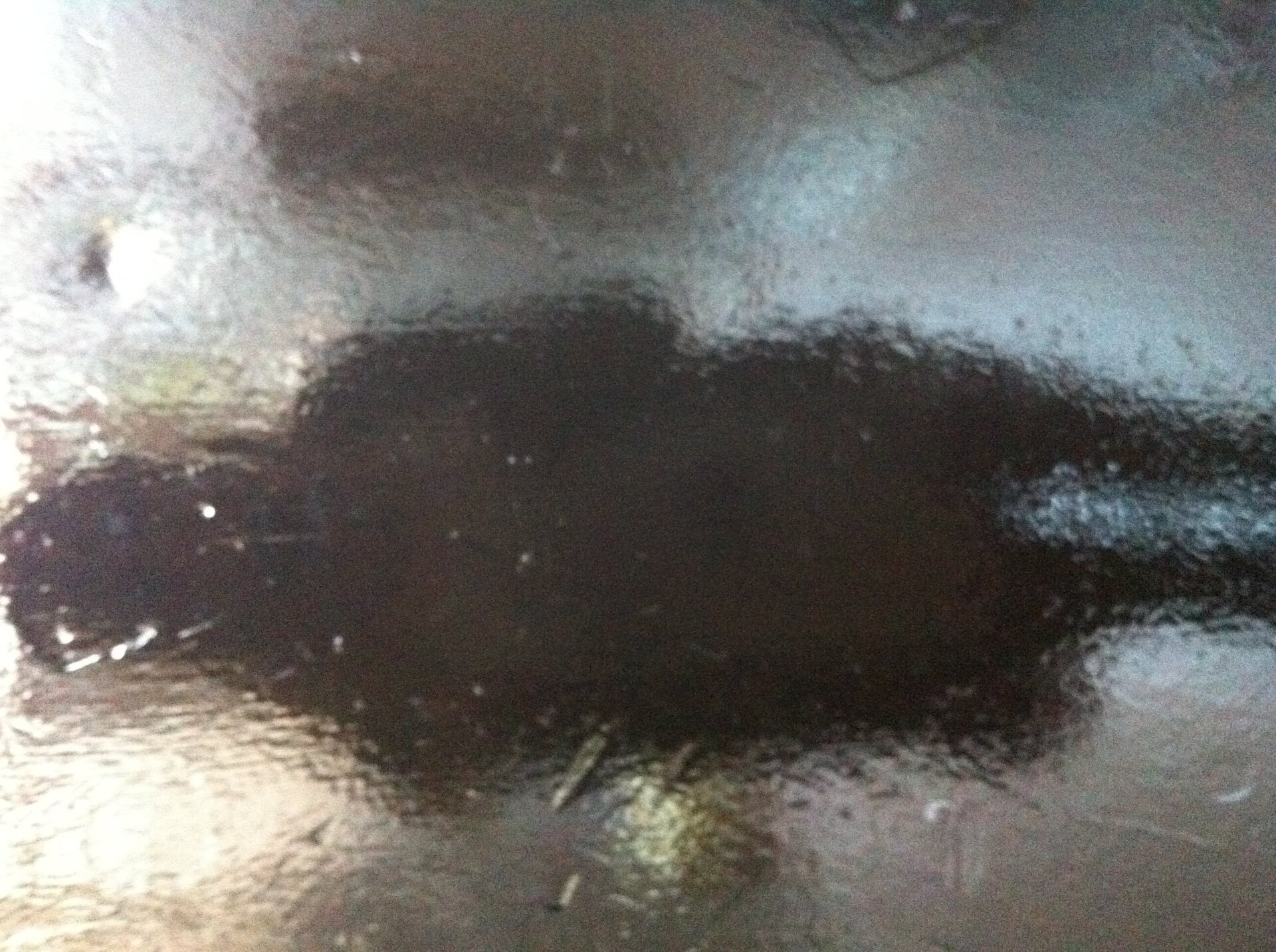  Ali Michael Celebrity Naked My Photo_7 