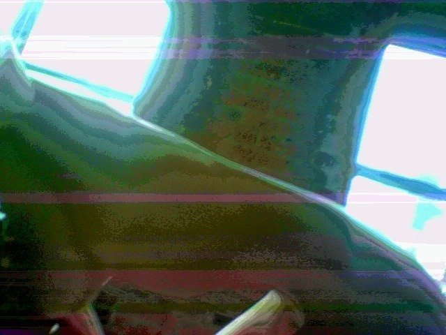 LeeLee Sobieski Naked Celeb Torso