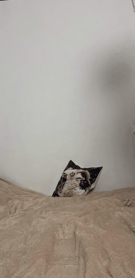 In great shape to ride on top of you 1