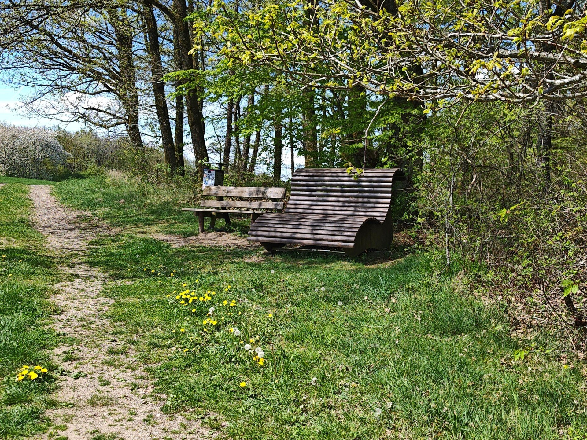 Ruhebank bei Trier 4