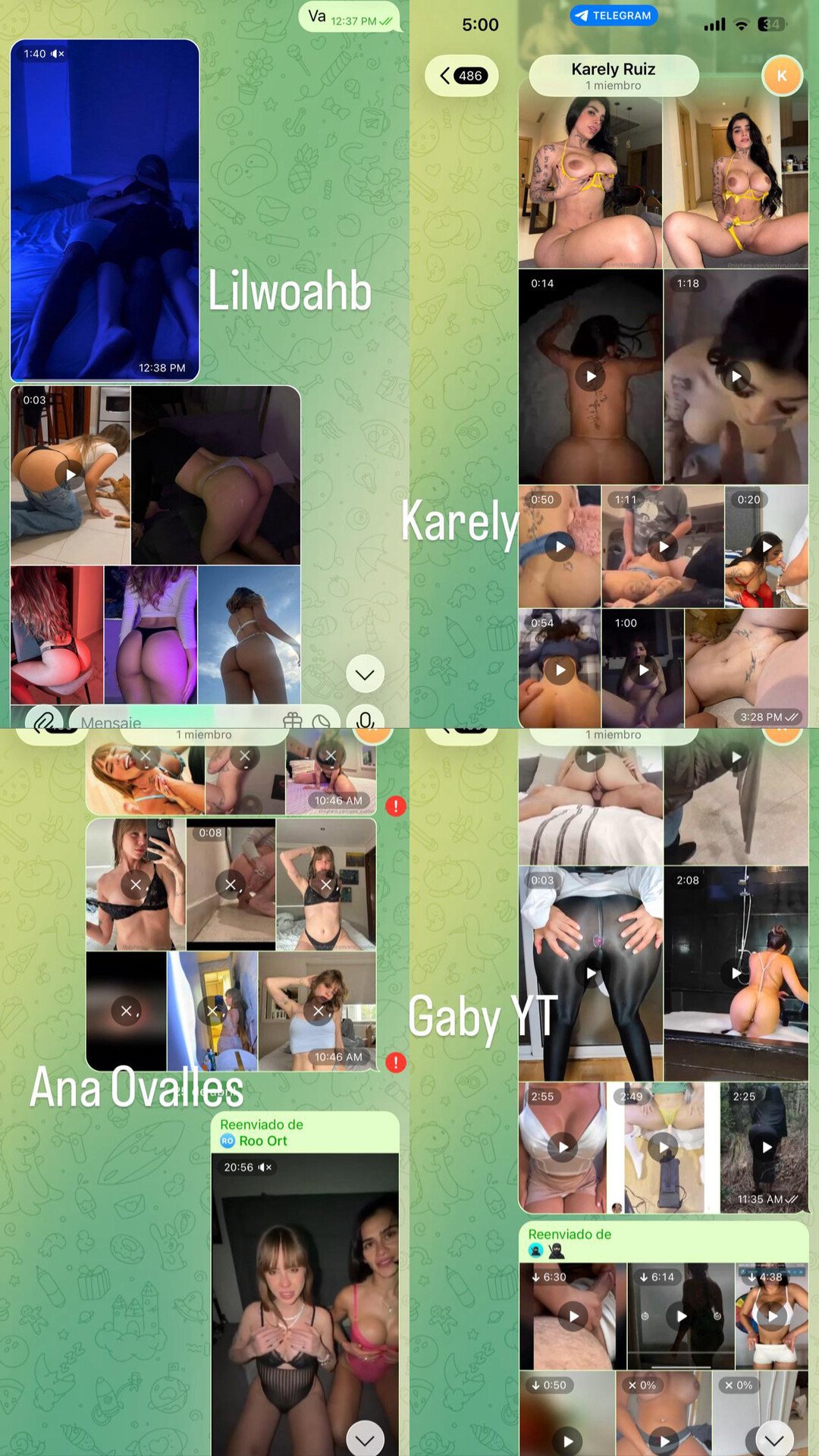 Tengo de Lilwoahb,Gaby YT, Ana Ovalles, janice nichole,Paola galo, mía García,la gabitto y Karely Ruiz si les interesa mandar dm super baratos 1